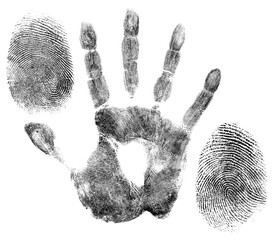 Wall Mural - hand and finger prints for identification