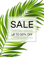 Wall Mural - Sale banner or poster with palm leaves and jungle leaf. Floral tropical summer background. Vector illustration