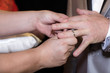 © NizArt - Close up hands of bride and groom putting on a wedding rings