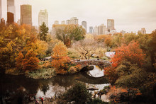 Beautiful View Of Central Park New York
