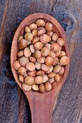 Wall Mural - Brown lentils in a spoon