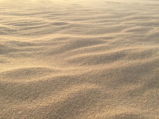 On top of  sand dune