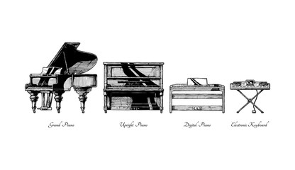 Wall Mural - Types of piano