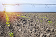 Watering crops in the field. Irrigation system. 
