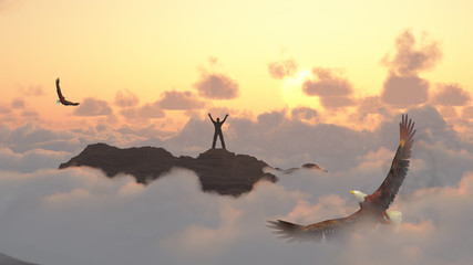 freedom