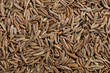 cumin seed dry aromatic spice, food background