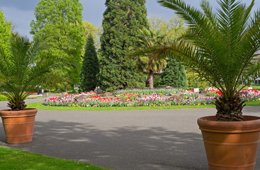 Wall Mural - Frühling im Kölner Rheinpark