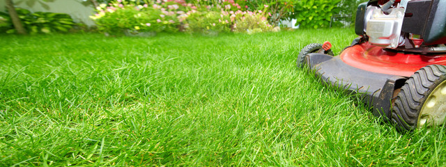 Canvas Print - Lawn mower