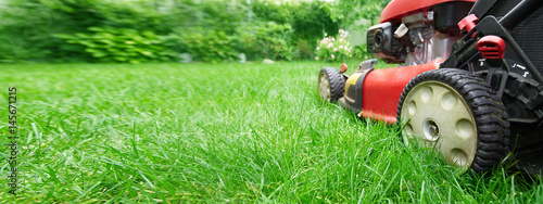 Pinturas sobre lienzo  Lawn mower