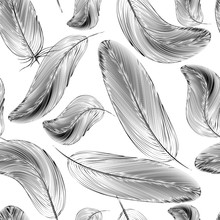 The Feather Of A Bird ,seamless Pattern , Black White. Vector Illustration.