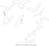 Fototapeta Dinusie - seagulls flying above open book outline on white