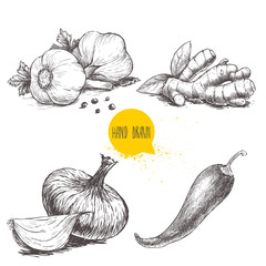 Hand drawn sketch style set illustration of different spices isolated on white background. Garlics with black peppers, ginger root, onion and red hot chili pepper.