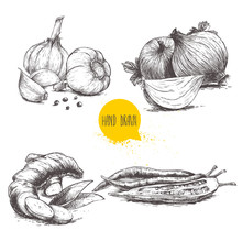 Hand Drawn Sketch Style Set Illustration Of Different Spices Isolated On White Background. Garlics With Cloves And Black Peppers, Ginger Root, Onions And Sliced Red Hot Chili Peppers.