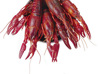 Poster - boiled louisiana crawfish