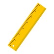 Yellow ruler icon isolated