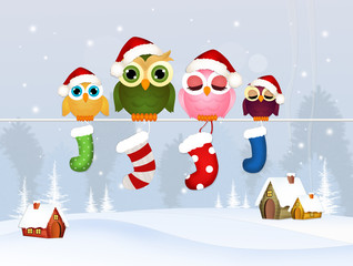 Sticker - owls family with Christmas socks