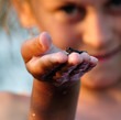Młoda żabka na ręku dziecka