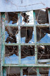 Broken Windows at Sandy Hook