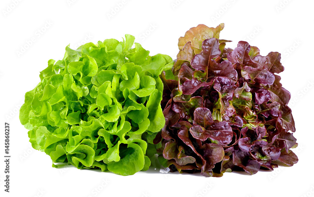 green and red lettuce isolated on white background - obrazy, fototapety, plakaty 