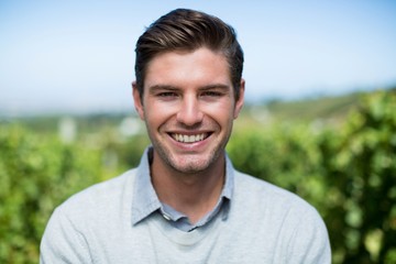 Wall Mural - Portrait of smiling young man at vineyard