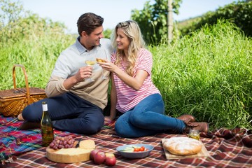 Wall Mural - Smiling young couple toasting wineglasses on picnic blanket