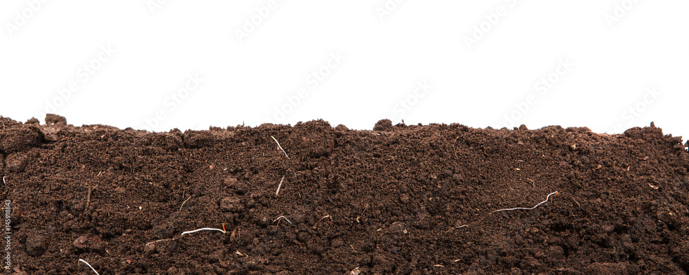 Handful of dark brown soil isolated on white background - obrazy, fototapety, plakaty 