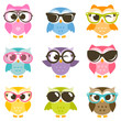 set of colorful owls with sunglasses