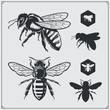 Set of honey emblems and design elements. Honeycombs, bee silhouettes.