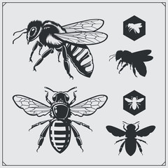 set of honey emblems and design elements. honeycombs, bee silhouettes.