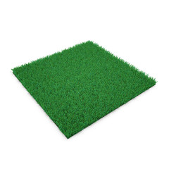 Wall Mural - Kentucky Bluegrass Grass on white. 3D illustration