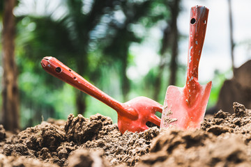 gardening tools, shovel and fork