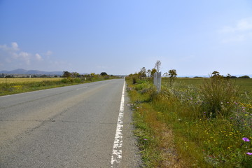 road in Cyprus in spring 