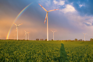 A rainbow over a wind farm on a field of young cereal