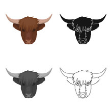 Highland Cattle Head Icon In Cartoon Style Isolated On White Background. Scotland Country Symbol Stock Vector Illustration.