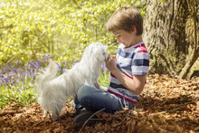 Littlel Boy With His Puppy Dog In The Forest