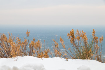 Winter Landscape