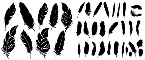 vector, silhouette of bird feather, collection