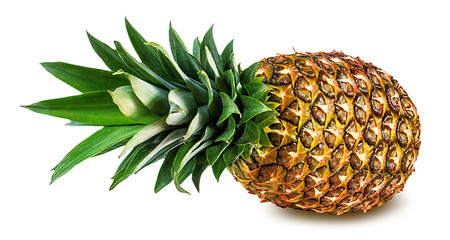 pineapple isolated on white