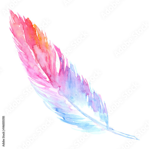 Watercolor Pink Purple Blue Bird Rustic Feather Isolated This Watercolor Pink Purple Blue Bird Rustic Feather Isolated