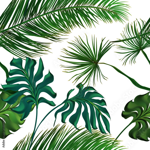 Naklejka na szybę Tropical palm leaves set, drawn vector collection. Isolated on background. Decorative elements, botanical pattern, trendy design. Seamless pattern.