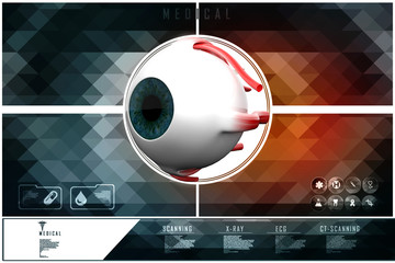 Wall Mural - 3d rendering Human eye structure