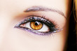 © Victoria Key - Eye Makeup. Beautiful Eyes Glitter Make-up. Holiday Makeup detail.