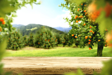 Poster - desk and fruits 