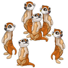 Funny Family Of Meerkats. Vector Animals Isolated