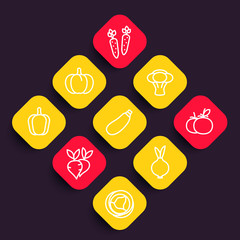 Sticker - Vegetables icons set, courgette, carrot, broccoli, pumpkin, cabbage, beet, tomato, onion linear pictograms