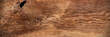 wide panorama rustic old oak wood texture  background / Eiche Holz hintergrund textur panorama 