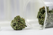 Science, Research, Technology and Cannabis -  The Increasingly Legal, Medical and Recreational Use of Marijuana