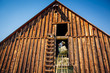 © Inti St Clair/Blend Images - Caucasian farmer in barn lifting bale of hay