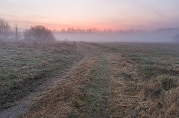 Wall Mural - Early spring foggy meadow at sunrise