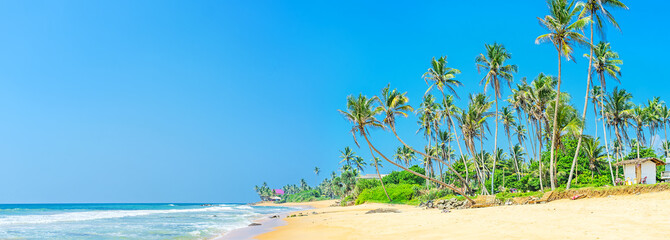 Poster - Panorama of the tropic beach